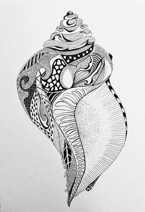 Aquarium Doodle Art, Zentangle Beach Scenes, Zentangle Seashells, She’ll Tattoo, Ocean Zentangle, Greek Drawing, Cute Panda Drawing, Shell Drawing, Zentangle Animals