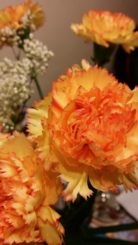 Flame Orange Carnations, #Flame, #Carnations, #Orange Orange Carnation Bouquet, Carnation Field, Orange Carnation Flower, Zodiac Wedding, Orange Carnations, Carnation Wedding, Orange Core, Fav Flower, Carnation Bouquet