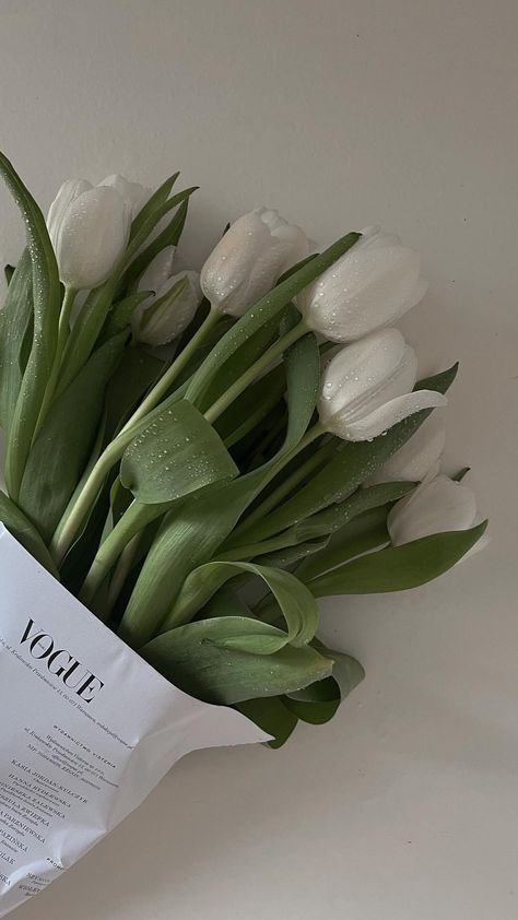 Clean White Wallpaper, Vintage Vision Board, Clean Phone Wallpaper, Opened Tulips, White Tulips Wallpaper, Simple Flower Aesthetic, Clean Girl Wallpaper, Green Tulips, Tulip Wallpaper