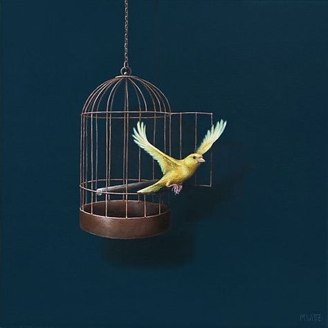 Birds Flying From Cage Freedom, Bird Out Of Cage, Bird Flying Out Of Cage, Beautiful Paintings Of Nature, Bird Set Free, Oneplus Wallpapers, Arte Folk, A New Start, Oil Painting Inspiration