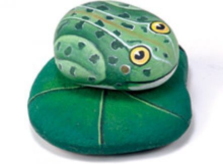 Frog On Lilypad, Rock Painting Tutorials, Painted Lily, Frog Rock, Paint Animals, Painted Pavers, Painting Stones, Lilly Pad, Art Coquillage