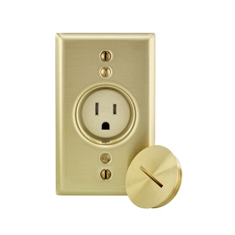 Leviton 15 amps 125 V Single Almond Outlet 5-15R 1 pk Moody Maximalist, Designer Light Switches, Mango Street, Electric Socket, Outdoor Outlet, Floor Boxes, Brass Plate, Home Hardware, Switch Plates