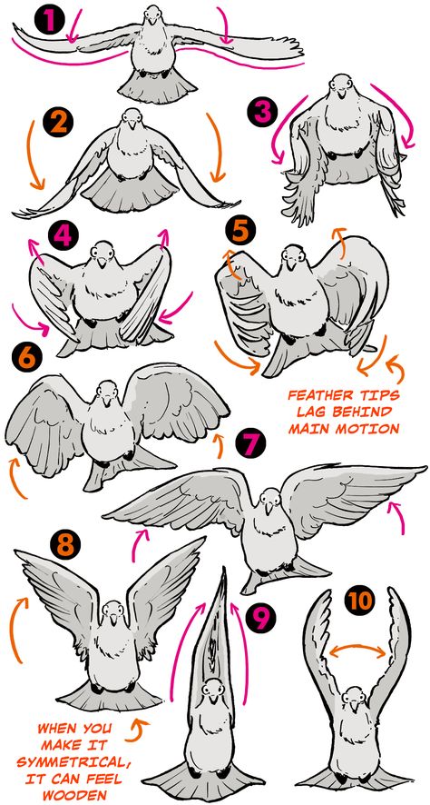 How To Draw Bird Wings | Art Rocket Wing Refrences Drawings, Bird Stretching Wings, Winged Ears Drawing, Raven Wings Reference, How To Draw A Cartoon Bird, Art Types Ideas, Bird Anatomy Reference, Wind Reference Drawing, Wing Tutorial Drawing