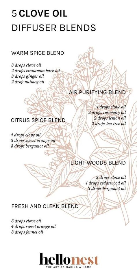 Here's how to use clove oil around the house to clear mold or freshen air + 5 diffuser blends using this practical essential oil. Tea Tree Oil Uses, Nutmeg Oil, Fennel Oil, Fennel Essential Oil, Essential Oils Collection, Essential Oil Diffuser Blends Recipes, Clove Essential Oil, Essential Oils Health, Cedarwood Oil