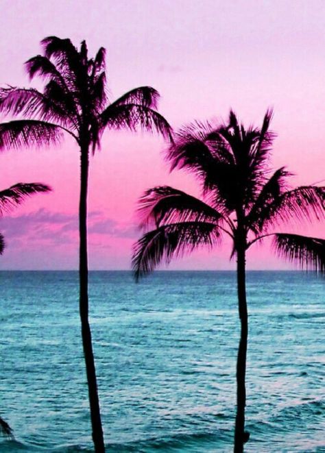 Alejandra Surfer on Twitter: "GN 👼🏼's 💙 @alida_stone9 @chrissurfsnow @Lizbethfeelings @hypolito_miryam @JuliaGrantham2 @inspireme39 @kresalie https://t.co/BNxdHWBspK" Palm Tree Sunset, Wallpaper Tumblr, Pink Sunset, Pink Sky, Ocean Beach, Beautiful Sunset, Beach Sunset, Sunrise Sunset, Pretty Pictures