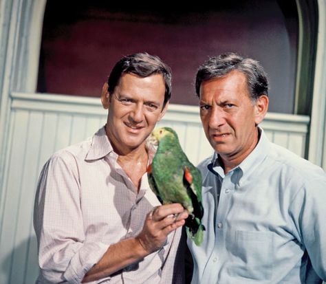 odd couple tv series 70s | Amazon.com: The Odd Couple: Season 1: Tony Randall… 70s Sitcoms, Tony Randall, The Odd Couple, Tv Photo, Odd Couples, Through Time And Space, Single Girl, Movie Memorabilia, Old Tv