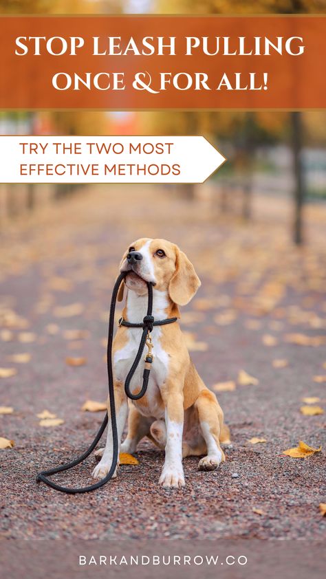 Learn how to get your dog to stop pulling on the leash with these two effective methods. Our easy step-by-step guide provides proven techniques and the best equipment to ensure that training is a pleasant experience for you and your pet. Take the first step towards taking control of your walks! #leashpulling #dogtrainingtips #puppytraining #Affiliate Obedience Training For Dogs, Dog Training Obedience Teaching, Dog Leash Training, What Kind Of Dog, Dog Spaces, Leash Training, Dog Training Videos, Dog Nose, Obedience Training