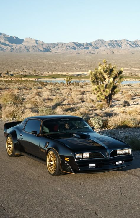 Firebird Car, Industrial Wheels, Car Wheels Diy, Car Throttle, Camaro Car, Car Wheels Rims, Pontiac Firebird Trans Am, Firebird Trans Am, Dream Vehicles