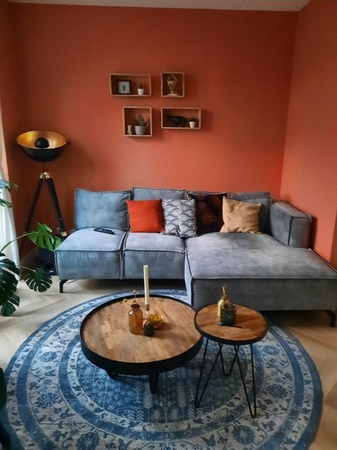 Terra Cotta Wall Color Living Room, Terra Cotta Interior Design, Terra Cotta Living Room Walls, Terracotta Walls Living Room, Terra Cotta Living Room, Coral Living Rooms, Terracotta Living Room, Dark Blue Rooms, Sitting Room Interior Design