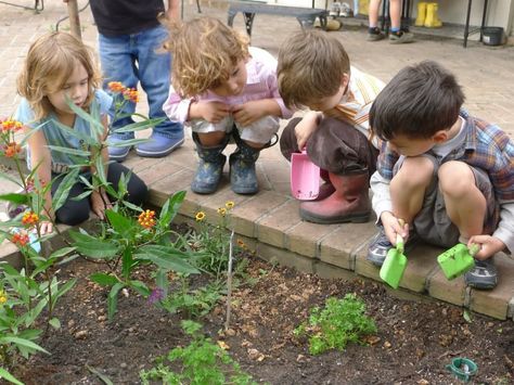 Planting For Kids, Garden Activities, Eco Friendly Garden, Video Garden, Children's Garden, Garden Help, Urban Gardening, Better Homes And Garden, Backyard Inspo