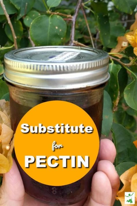 Pectin Recipes, Canning Jam Recipes, Jams And Jellies, Homemade Jams, Home Canning Recipes, Canning Jam, Canning Food Preservation, Canned Food Storage, Homemade Jelly