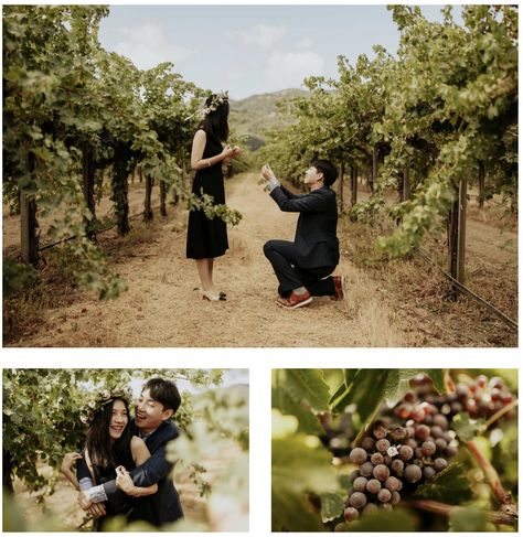 Napa Winery Vineyard Proposal | Proposal Ideas | Napa Sonoma Bay Area Wedding Photographer Vineyard Proposal Ideas, Winery Proposal Ideas, Vineyard Proposal, Winery Proposal, Outdoor Winery Wedding, Outdoor Wedding Photoshoot, Outdoor Couple Photos, Winery Engagement Photos, California Proposal