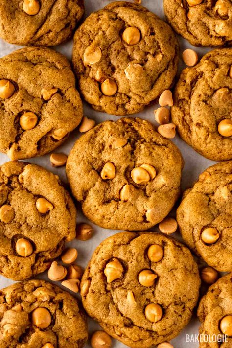 Pumpkin Butterscotch cookie that is not cakey and has the same dense & chewy texture of a regular chocolate chip cookie. Uses no eggs. On measuring: All recipes are developed and tested in metric grams. I have provided a conversion to US customary (based on this Baking Conversion and Measurement Chart) in the recipe but I strongly recommend using a digital scale for a more accurate result. Step-by-step photos: If there's any step you feel confused, my recipe post contains step-by-step photos and Crispy Pumpkin Chocolate Chip Cookies, Pumpkin Butterscotch Cookies, Pumpkin Chip Cookies, Pumpkin Butterscotch, Pumpkin Chip, Diy Pumpkin Spice, Butterscotch Cookies, Cookies Chewy, Homemade Pumpkin Spice