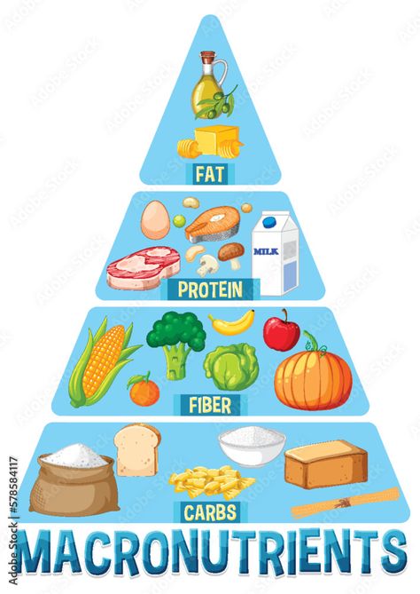 Infographic Design Process, Macro Nutrition, Balanced Meal Plan, Diet Meals, Food Pyramid, Balanced Meals, Milk Protein, Diet Meal Plans, Keto Dinner