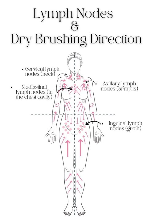 How To Dry Brush, Lymph Drainage Massage, دورة شهرية, Lymph Massage, Lymph Drainage, Feminine Health, Lymph Nodes, Dry Brush, Hormone Health