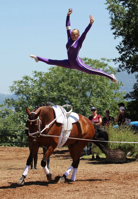 Tessa Divita vaulting with Stan at Garrods Equestrian Vaulting, Vaulting Equestrian, Horse Vaulting, Horse Jokes, Trick Riding, Horse Facts, Equestrian Events, Horse Videos, Horse Tips