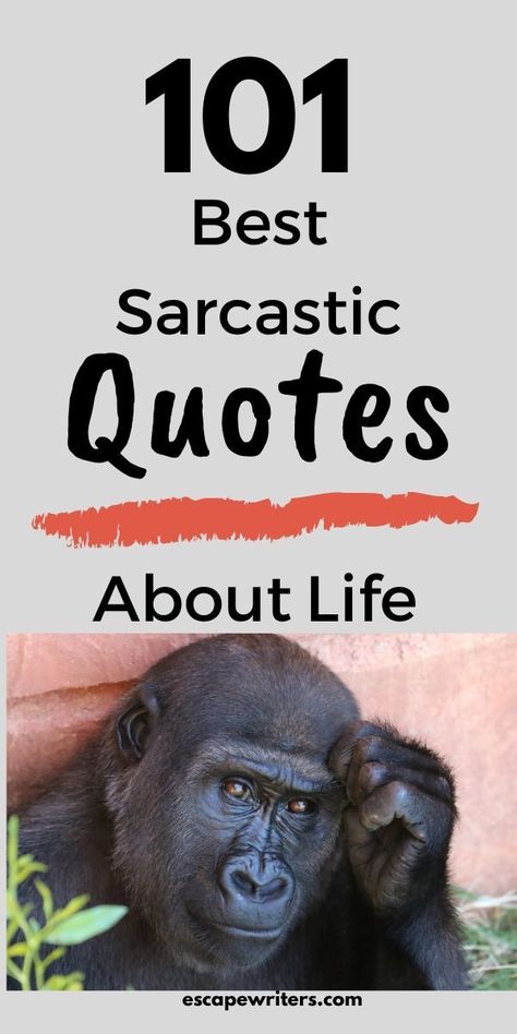 Life Quotes Funny Sarcastic, Original Character Quotes, Witty Quotes About Life Wisdom, Short And Funny Quotes, Humorous Life Quotes, Popular Phrases Sayings, Interesting Quotes Funny, Sarcastically Funny Quotes, Sarcastic Encouragement Quotes