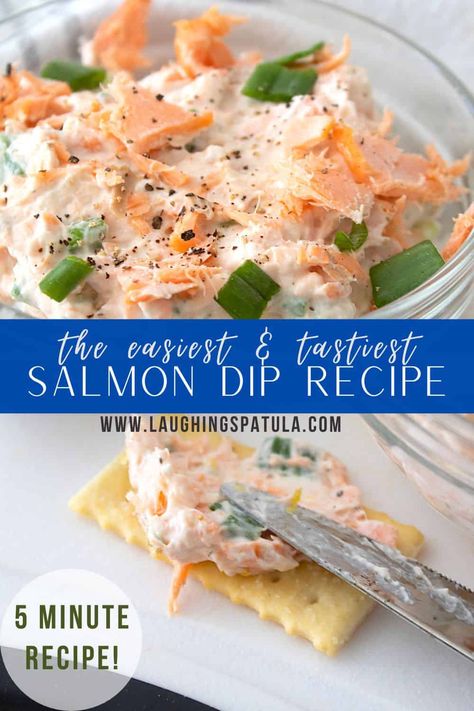 This recipe is simple and comes together in only a couple minutes. It's the perfect appetizer for any season. Easy Salmon Dip, Salmon Dip Cream Cheese, Appetizer Meals, Dietary Recipes, Ketovore Diet, Salmon Dip Recipes, Salmon Dip, Mini Appetizers, Appetizers Easy Finger Food