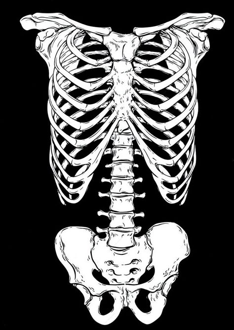 Skeleton Drawing, Skeleton Drawings, Graphic Shirt Design, Skeleton Design, Bleach Art, Sketch Inspiration, Flash Art, Anatomy Art, Cool Art Drawings