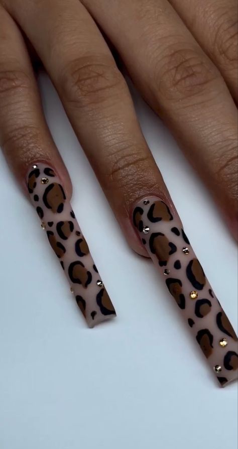 Cheetah Acrylic Nails, Nail Inspo Coffin, Leopard Nail Designs, Cheetah Print Nails, Nail Designs Ideas, Long Square Nails, Cheetah Nails, Square Nail Designs, Leopard Print Nails