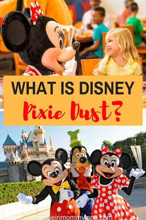 So, what exactly is Disney Pixie Dust? See how Disney Cast Members make Disney vacations extra special with these heartwarming stories. Click to read more or pin to save for later. www.marcieinmommyland.com #disney #disneysmmc #disneypixiedust #magicalmoments #familytravel #disneyvacations Pixie Dust Ideas For Disney, Disney Cast Member, Disney Souvenirs, World Of Disney, Disney Cast, Let The Adventure Begin, Disney Trip Planning, Disney Memories, Disney Ideas