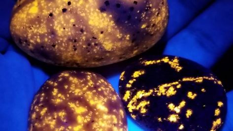 So-called Yooperlite rocks from Michigan's Upper Peninsula glow under certain light Yooperlite Rocks, Glowing Rocks, Pudding Stone, Glow Rock, Rock Identification, Glow Stones, Rock Hunting, Rocks And Fossils, Glass Rocks