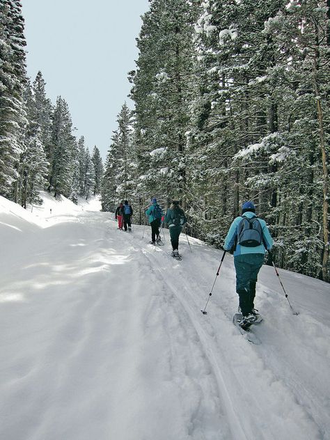 Snow Shoes Aesthetic, Snow Shoeing Aesthetic, Snowshoeing Aesthetic, Winter Break Bucket List, Abc Dates, Snow School, Ski Trip Essentials, Ski Tips, Park Amenities