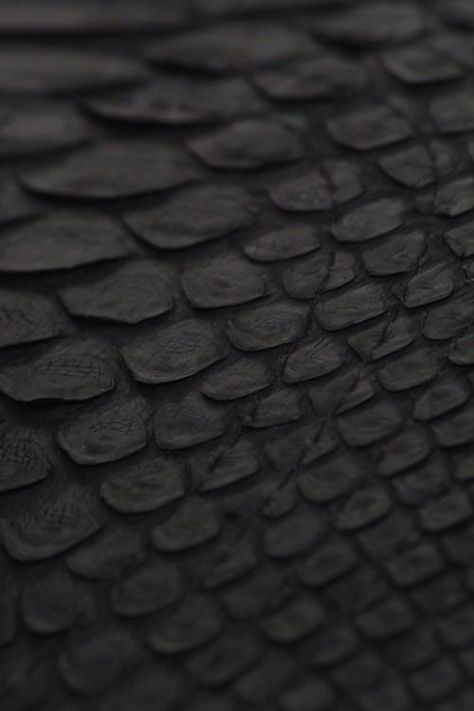 Black Scales Momento Mori, Texture Inspiration, Dark Matter, Black Textures, Skin Texture, Happy Colors, Color Textures, Shades Of Black, Black Is Beautiful