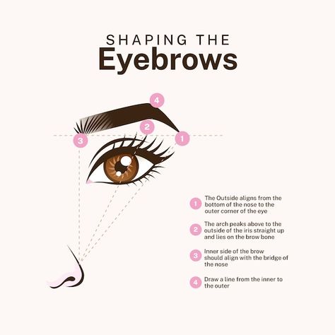 Mapping Illustration, Makeup Tutorial Foundation Flawless Face, Surgical Incisions, Eyebrow Mapping, Eyebrow Quotes, Brow Quotes, Brow Mapping, Map Quotes, Eyebrow Transplant