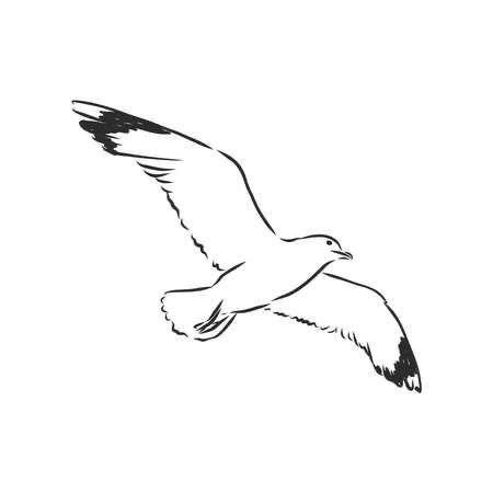 Flying Seagull Drawing, Simple Seagull Drawing, Flying Seagull Tattoo, Simple Seagull Tattoo, Seagull Line Drawing, Small Seagull Tattoo, Seagull Tattoo Design, Sea Gull Tattoo, Seabird Tattoo