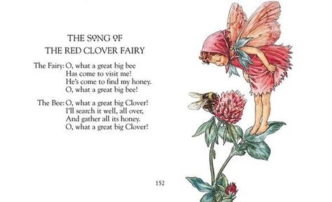 Flower Fairies of the Wayside - The Song of the Red Clover Fairy Clover Fairy, Clover Quote, Big Bee, Red Clover, Flower Sleeve, Vintage Bee, Cicely Mary Barker, Flower Fairies, Flower Fairy