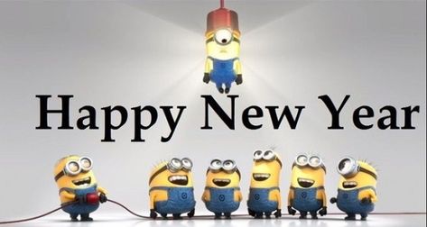 Best Happy New Year Wishes, Messages, Greetings 2019 in English & Hindi 44 New Year Wishes Funny, Funny New Year Images, New Year Jokes, New Year Quotes Funny Hilarious, Happy New Year Funny, New Year Meme, New Year Wishes Messages, Happy New Year Pictures, Happy New Year Gif