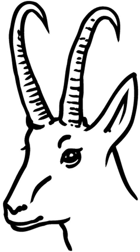 Chamois Chamois Drawing, Mummy Photos, Dremel Wood Carving, Image Svg, Art Premier, Dremel, Drawing Reference Poses, Pyrography, Funny Clips