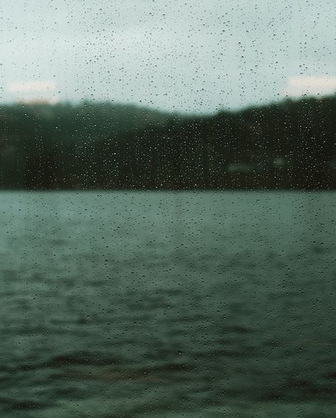 It’s time to fall in love with rain again #pnw #inlandnorthwest #pnwtravel #pnwphotographer #idahotravel #cdaidaho #visitidaho #northidaho #cdalake #moodyaesthetic #darknaturalism #moodygrams #morgancore Morgan Core, Visit Idaho, Dark Naturalism, Idaho Travel, North West, Idaho, Falling In Love, Fall In Love, In Love