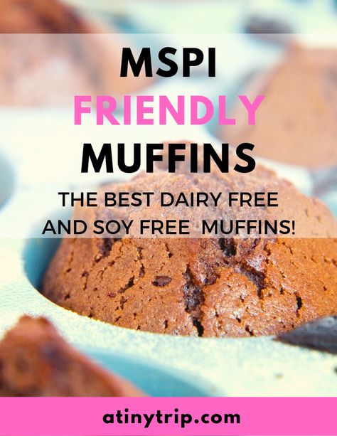 Dairy And Soy Free Recipes Breastfeeding, Mspi Diet, Mspi Recipes, Easy Muffin Recipe, Dairy Free Muffins, Toddler Lunch Recipes, Dairy Free Breastfeeding, Dairy Free Soy Free, Dairy Free Recipes Dinner