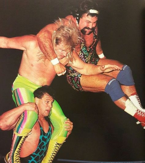 Steiner Brothers double teaming"Beautiful" Bobby Eaton Steiner Brothers, Pro Wrestling, Photo Cards, Wwe, Bulldog, Sumo Wrestling, Wrestling, Fictional Characters