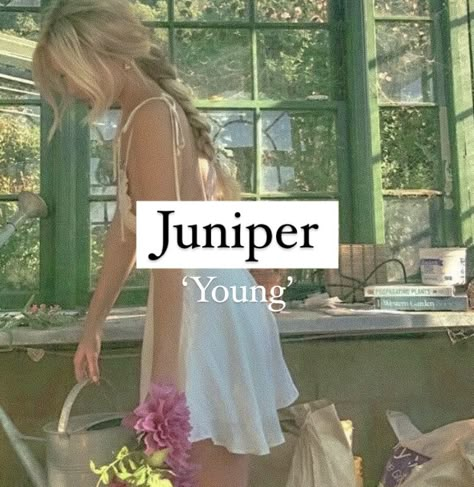 Baby girl name or character name Juniper. Juniper Name Aesthetic, Juniper Name Meaning, Juniper Name, June Name, Aesthetic Food Quotes, The Juniper Tree, Names For Ocs, Random Names, Good Nicknames