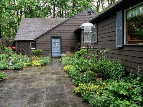 More Time With the Color Green - FineGardening Wellesley Massachusetts, Tiarella Spring Symphony, Zinnia Elegans, The Color Green, Spring Photos, Garden Photography, Fine Gardening, Most Beautiful Flowers, Second Day