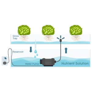 Ebb And Flow Hydroponics, Aeroponic System, Scarecrow Festival, Drip System, Plant Tissue, Hydroponic Plants, Fountain Pump, Ebb And Flow, Root System