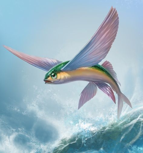 Flying Fish Drawing, Flying Fish Art, Fish Art Project, Sea Pictures, Fish Drawing, Flying Fish, Animal Study, Childrens Drawings, Fish Drawings