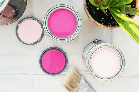 Behr Paint Pink Paint Colors Behr, Behr Color Trends, Bright Office, Office Paint Colors, Pink Paint Colors, Behr Colors, Behr Paint Colors, Colour Guide, Office Paint