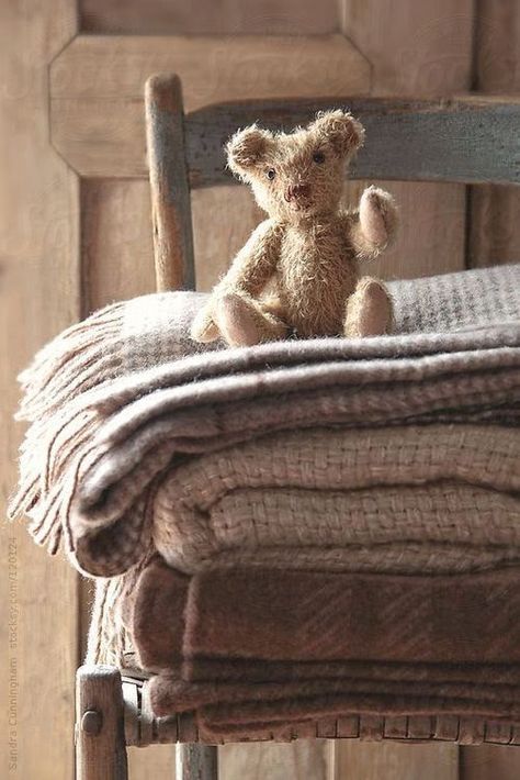 Teddy Ruxpin, Small Teddy Bears, A Teddy Bear, Vintage Teddy Bears, Cute Bear, Wool Blanket, Warm And Cozy, Teak, Blankets