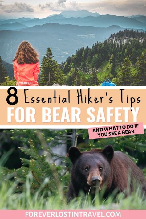 Bear Safety For Hiking And Camping This Summer - Forever Lost In Travel Bear Safety, Camping Safety, Survival Books, Hiking Adventures, Hiking And Camping, Attraction Affirmations, Hiking Essentials, Camping Guide, Save Your Life