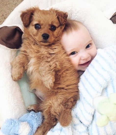 Baby and Puppy Photos - Photos of Babies Cuddling With Puppies Photos Of Babies, Photos With Dog, Puppy Images, Tiny Puppies, Puppy Photos, Happy Puppy, Dogs And Kids, Puppy Breeds