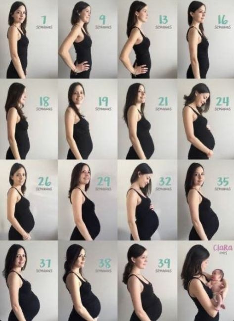 Pregnancy Timeline Photos, Pregnancy Progress Pictures, Bump Progression, Baby Bump Progression, Pregnancy Timeline, Baby Bump Pictures, Bump Pictures, Pregnancy Belly Photos, Pregnancy Progression