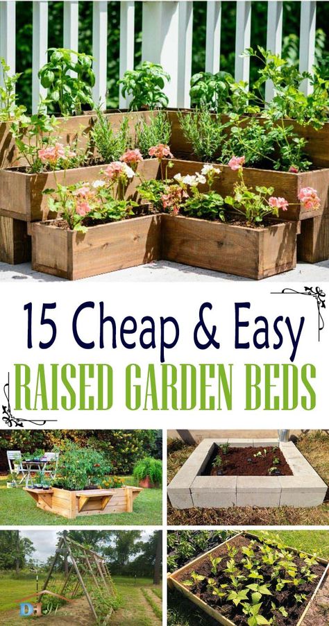 DIY Cheap And Easy Raised Garden Beds. How to make your own raised garden bed, tutorials, photos and step by step instructions of the best raised garden beds. #raisedbed #garden #diy #cheap #decorhomeideas Greenhouse Beds Raised Gardens, Deck Garden Boxes, No Dig Raised Garden Beds, How To Make A Raised Garden Bed From Pallets, No Dig Gardening Raised Beds, Raised Bed Garden Ideas, Raised Garden Beds Using Totes, Cheap Garden Beds, Dig Raised Garden Bed