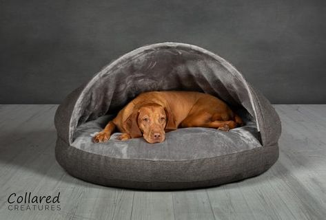 Collared Creatures sell luxury dog accessories. Cave, Cocoon, Donut & Snuggle beds offer ultimate comfort. Quality drying coats & collars that last. Built In Dog Bed, Dog Cave Bed, Cave Dog Bed, Luxury Cat Bed, Dog Cave, Cave Bed, Hooded Dog Bed, Designer Dog Beds, Covered Dog Bed