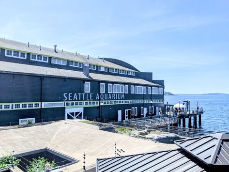 Underwater Room, Seattle Aquarium, Woodland Park Zoo, Harbor Seal, Outdoor Walkway, Pike Place Market, Roller Coaster Ride, Pike Place, Public Park