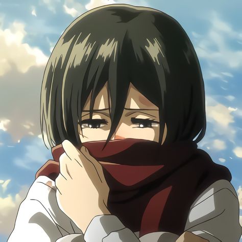 Mikasa Pfp Fanart, Mikasa Profile Pic, Aot Profile Pic, Mikasa Widget, Eren And Mikasa Matching Icons, Mikasa Ackerman Pfp, Mikasa Pfp, Eren Pfp, Profil Couple