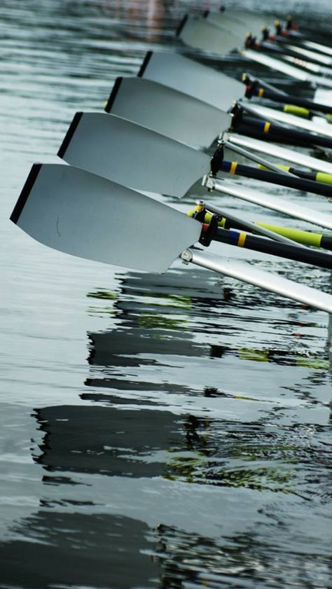 Rowing Aesthetic Wallpaper, Rowing Wallpaper, Rowing Photography, Craig Morgan, Rowing Oars, Rowing Crew, Rowing Team, Rowing Club, Row Row Your Boat